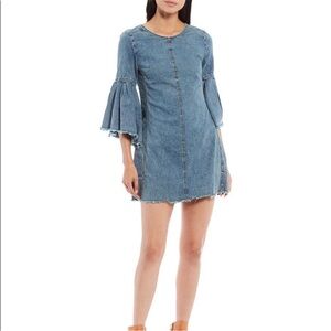 FREE PEOPLE RECKLESS LIFE DENIM DRESS